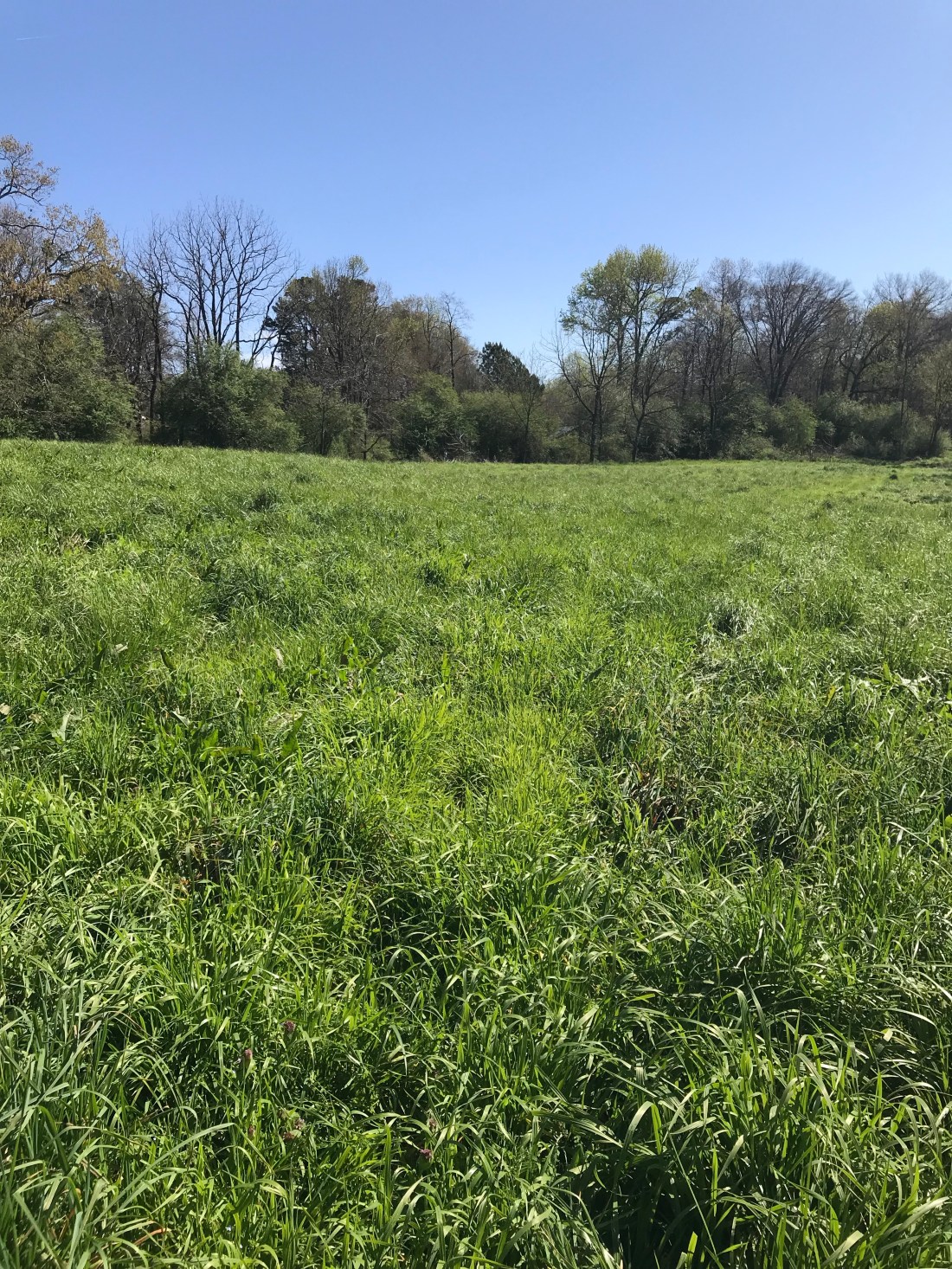 7qZFkWftTTS8X2o4y0dwCw